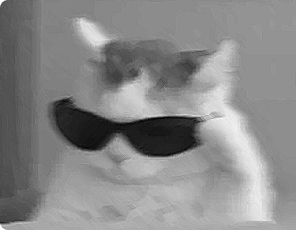 Session profille image